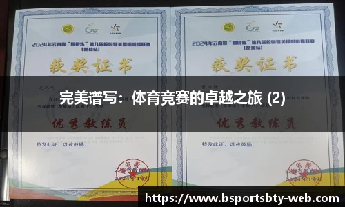 bsports登录入口